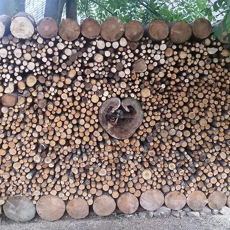 Forest Romantic Brdy Daire *