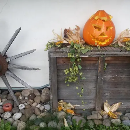 Daire Forest Romantic Brdy