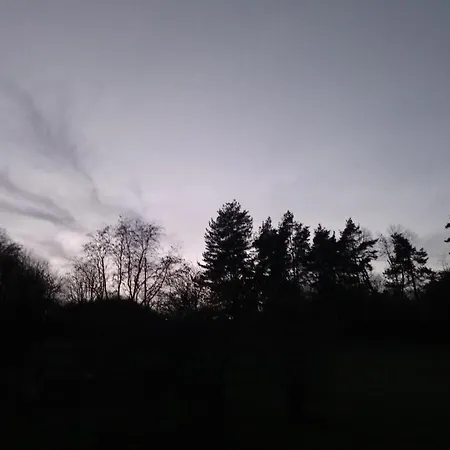 Forest Romantic Brdy Daire *