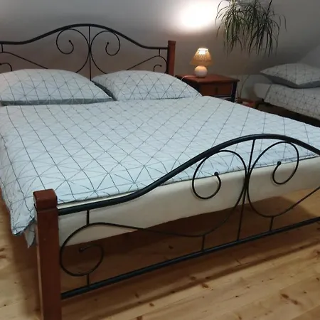 Forest Romantic Brdy Vesin