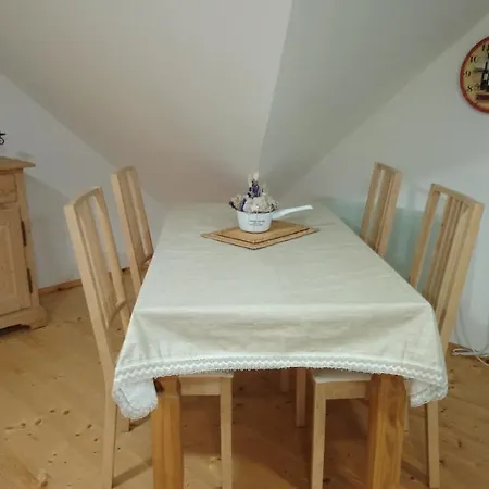 Forest Romantic Brdy Vesin