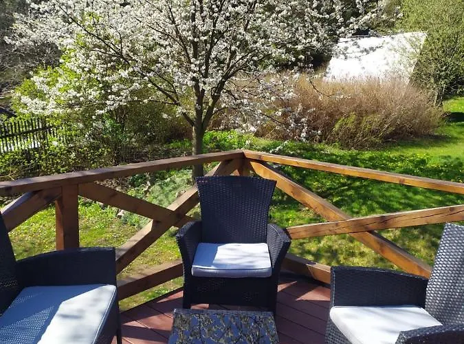 Forest Romantic Brdy