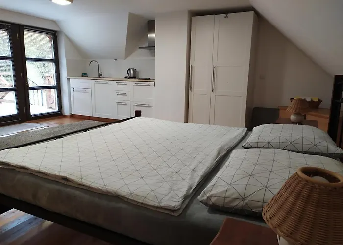 Forest Romantic Brdy * Vesin