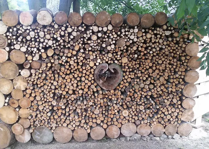 Forest Romantic Brdy Apartment *