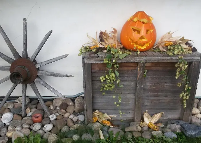 Daire Forest Romantic Brdy