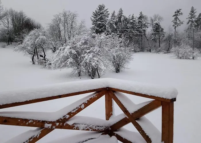 Daire Forest Romantic Brdy Vesin