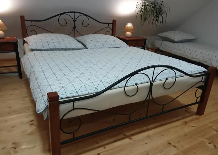 Forest Romantic Brdy Vesin