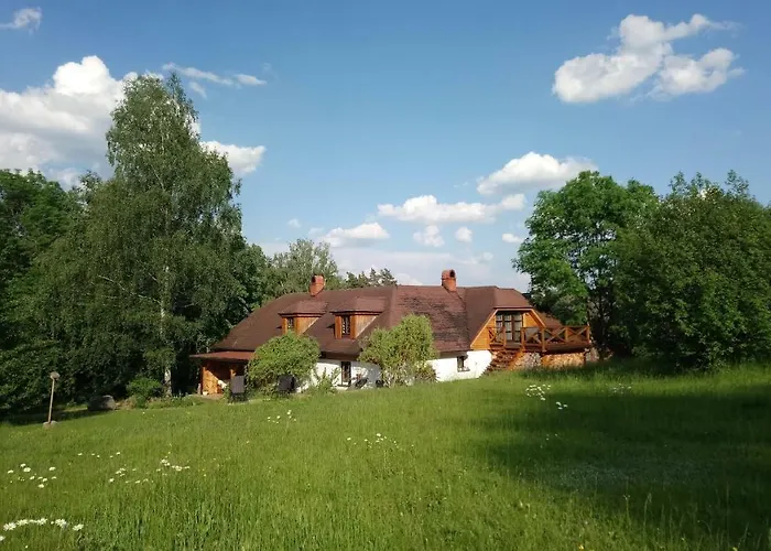 Forest Romantic Brdy